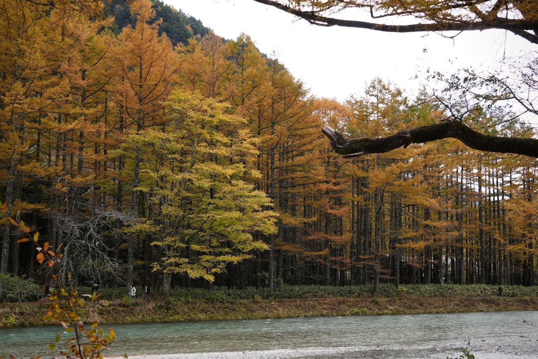 Explorez le parc quasi national de Genkai : nature et culture à Fukuoka - Fukuoka | Secret World Trip Planner