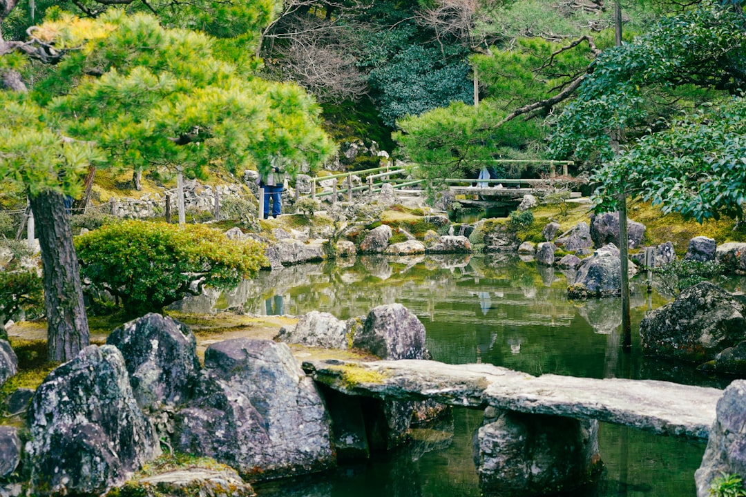 Сад Дазаифу Тенмагуд: природное сокровище Японии - Dazaifu | Secret World Trip Planner