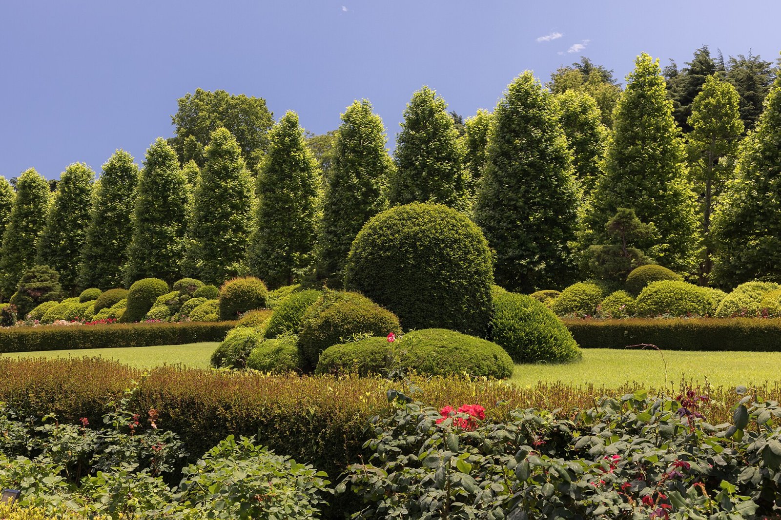 Descubra Shinjuku Gyoen: um canto da natureza em Tóquio - Shinjuku City | Secret World Trip Planner