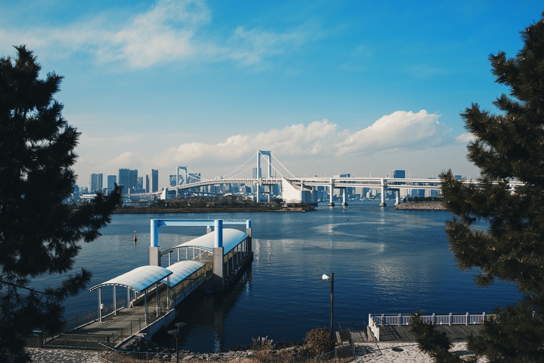 Découvrir Odaiba : un joyau culturel de Tokyo - Koto City | Secret World Trip Planner