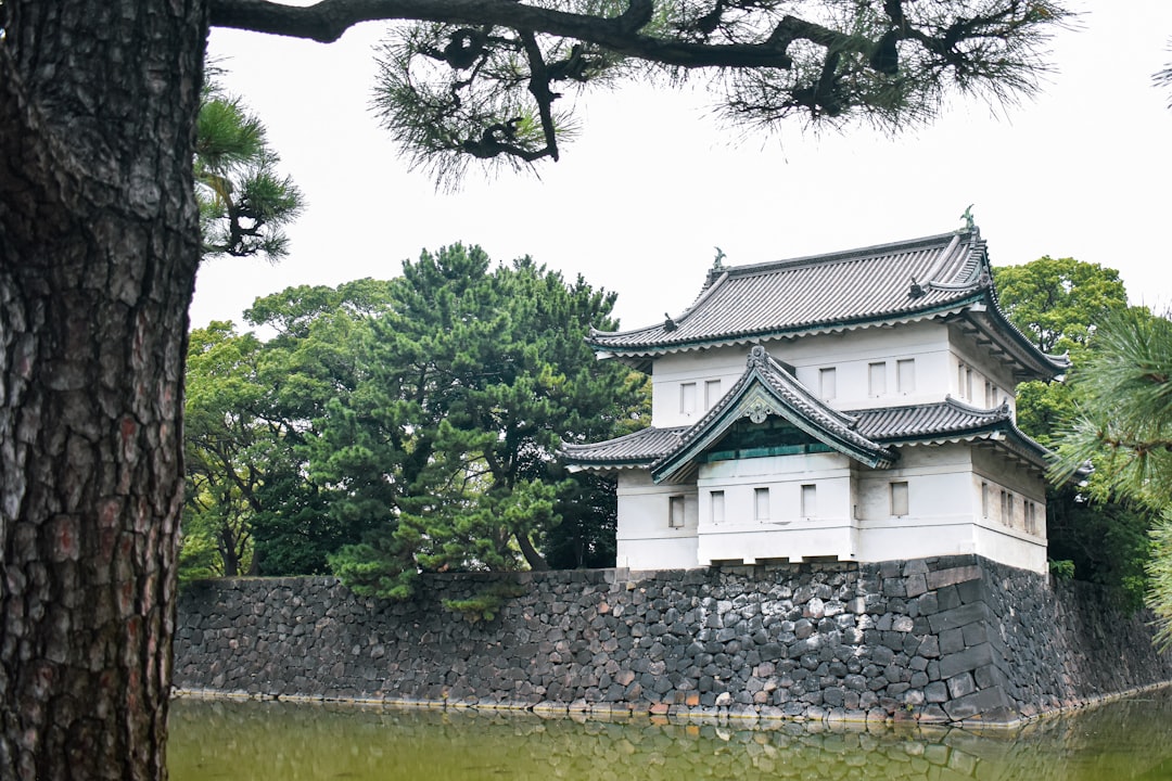 Руины замка Эдо: Путешествие в историю Токио — Chiyoda City