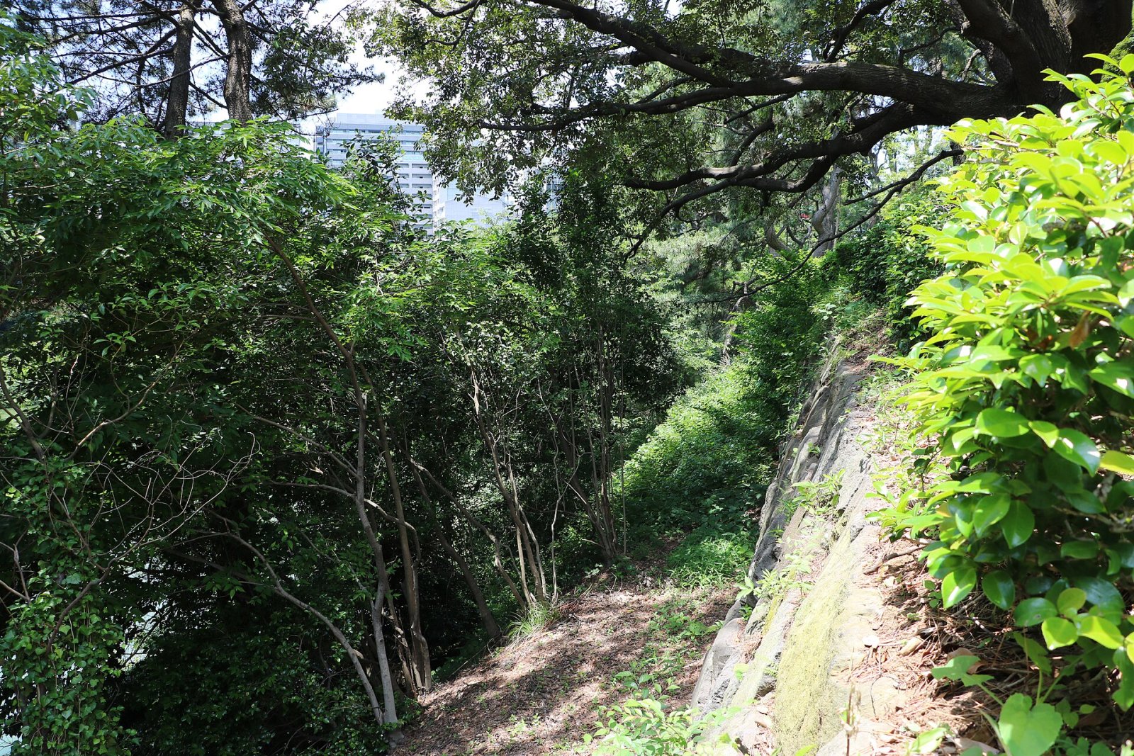 江戸城跡：東京の歴史への旅 - Chiyoda City | Secret World Trip Planner