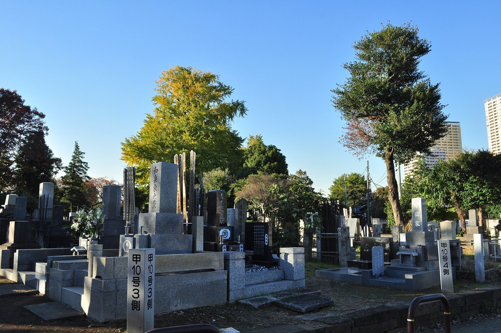 Yanaka Cemetery: Un Viaggio nella Storia di Tokyo - Bunkyo City | Secret World Trip Planner