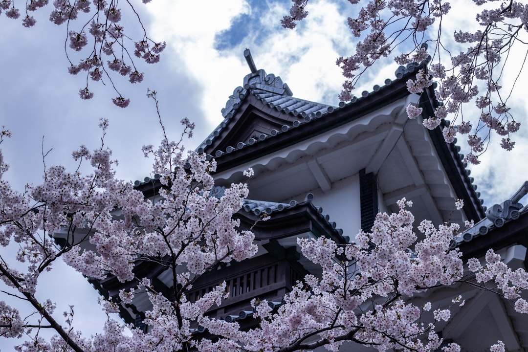 探索金泽城:日本的历史瑰宝 - Kanazawa | Secret World Trip Planner