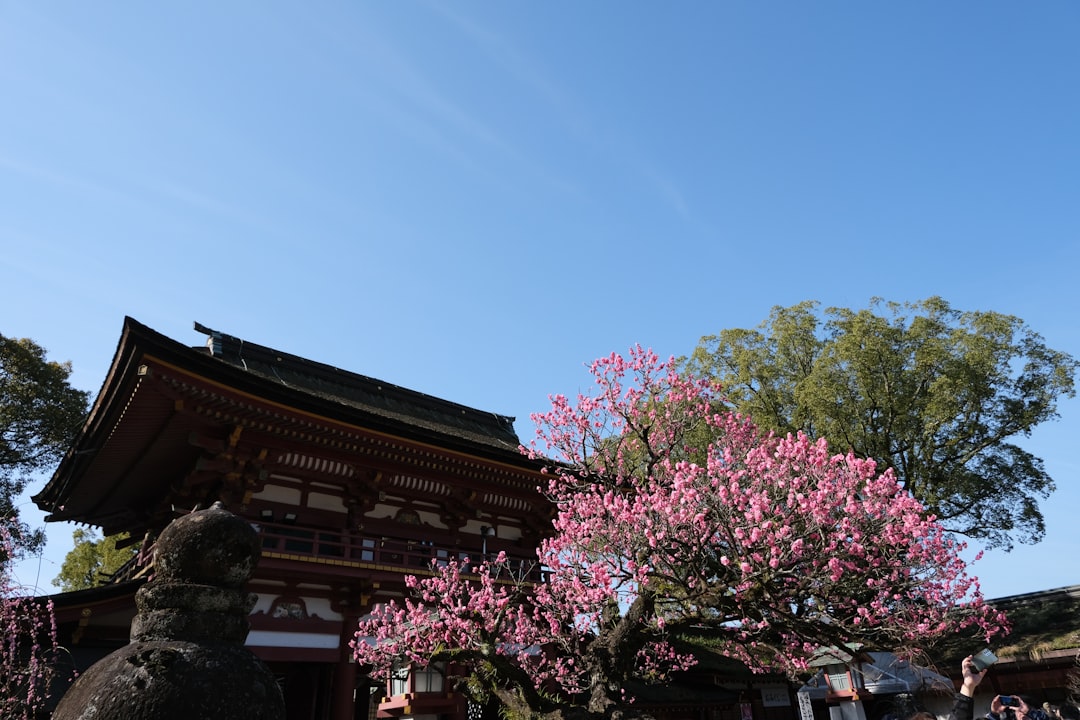 探索热田神宫:名古屋的宝藏 - Nagoya | Secret World Trip Planner
