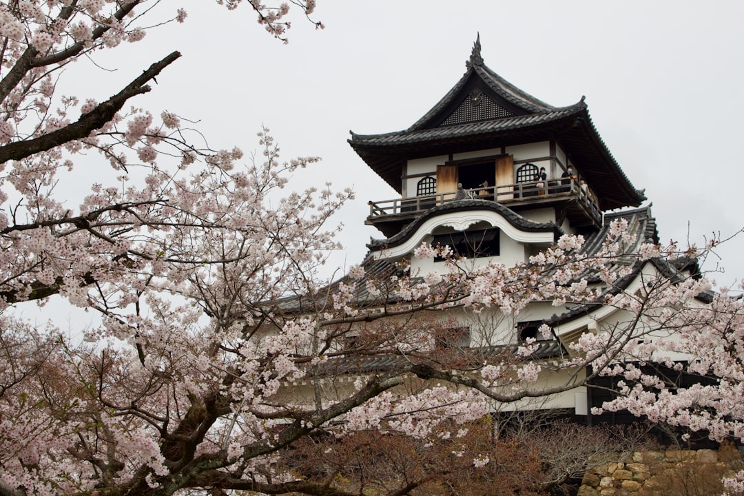 Château d'Inuyama : un trésor d'histoire au Japon - Inuyama | Secret World Trip Planner