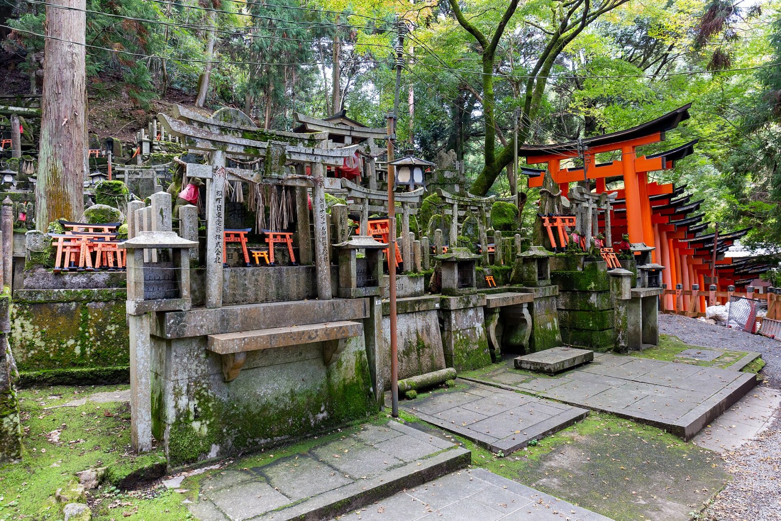 Fushimi Inari Shrine: un viaggio nel cuore della cultura giapponese - Kyoto | Secret World Trip Planner
