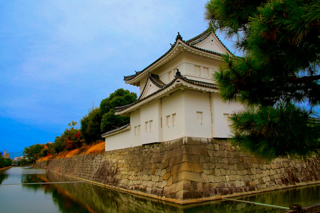 Исследуя замок Нидзё в Киото: история и красота - Kyoto | Secret World Trip Planner
