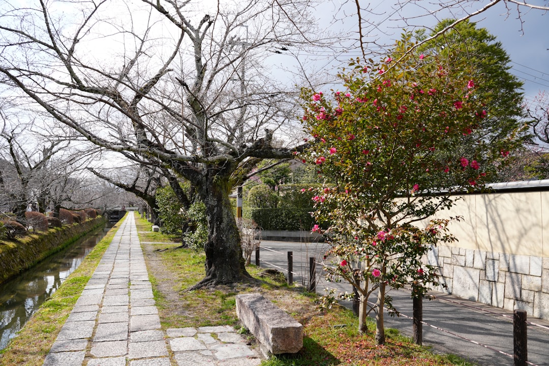 Découvrez le Sentier des Philosophes à Kyoto : Un Voyage dans la Nature - Kyoto | Secret World Trip Planner