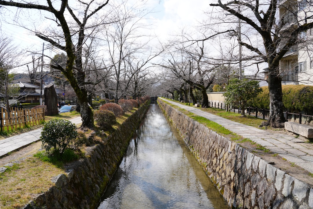 Descubre el Sendero de los Filósofos en Kioto: Un Viaje por la Naturaleza - Kyoto | Secret World Trip Planner
