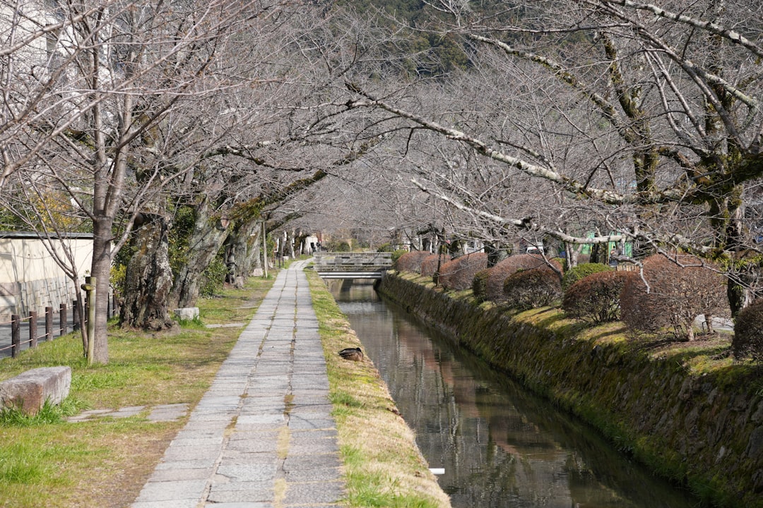 Откройте для себя Путь философов в Киото: Путешествие по природе - Kyoto | Secret World Trip Planner