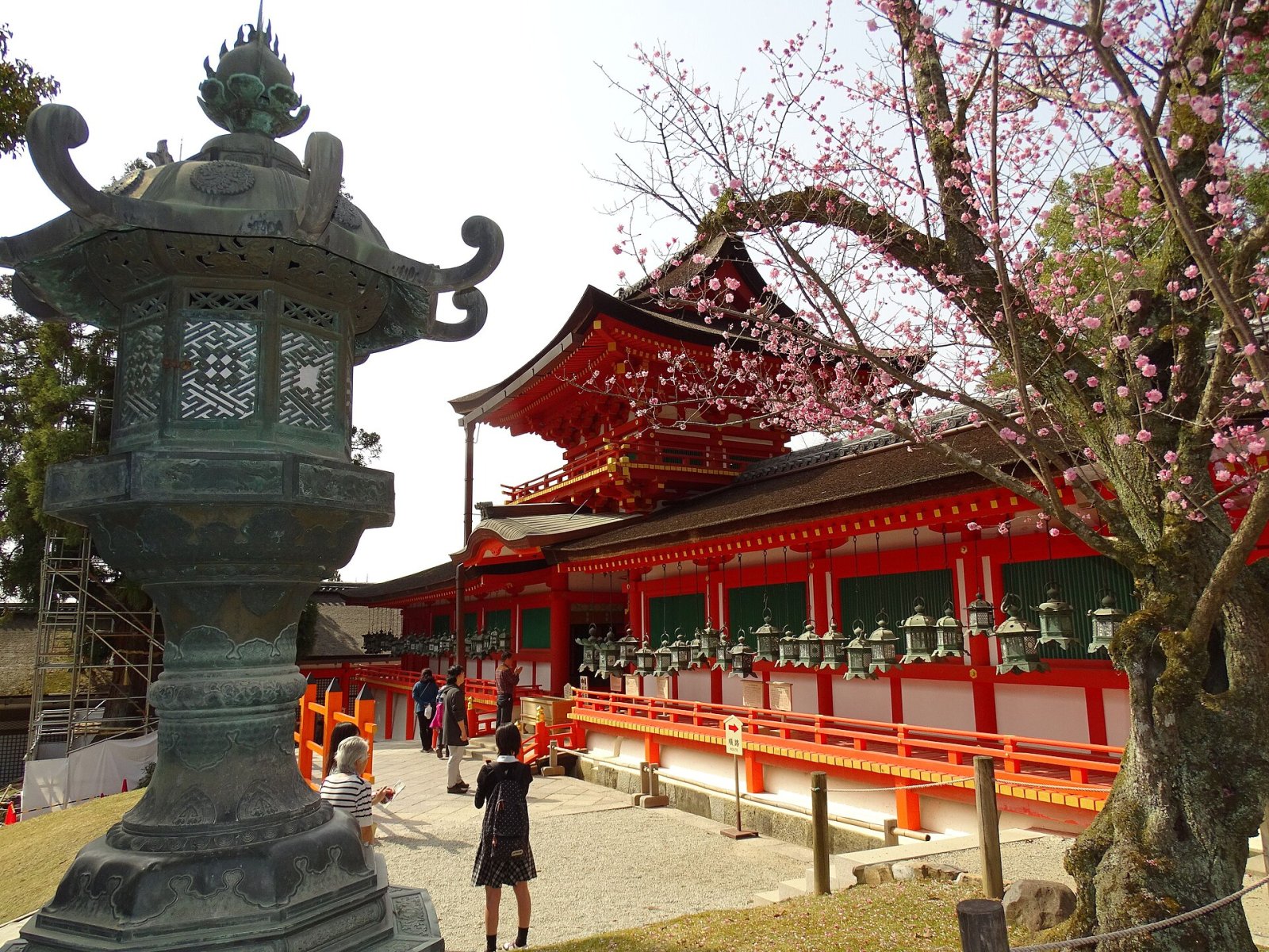 Kasuga Grand Shrine: A Cultural Treasure in Nara - Nara | Secret World Trip Planner