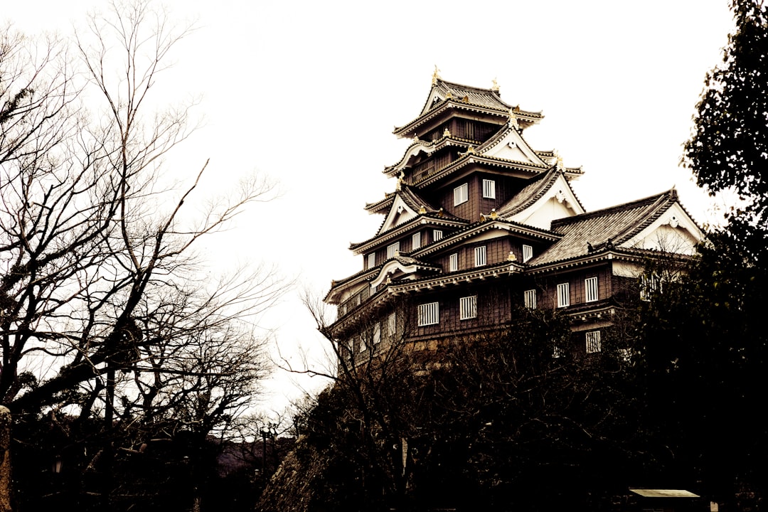 Castillo de Okayama: Una joya de la historia japonesa - Okayama | Secret World Trip Planner