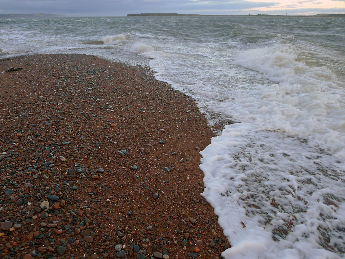 Chanonry Point: A Paradise for Nature Lovers in Scotland - Highland Council | Secret World Trip Planner