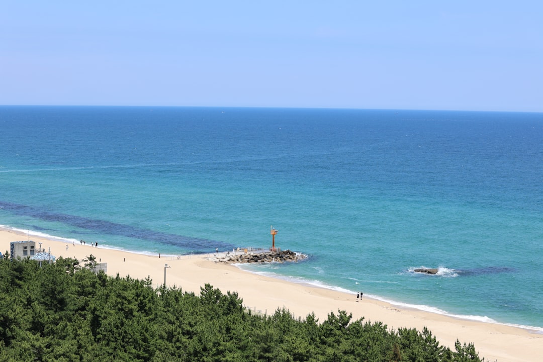 Playa Jeongdongjin: un rincón de paraíso en Corea del Sur - Gangneung | Secret World Trip Planner
