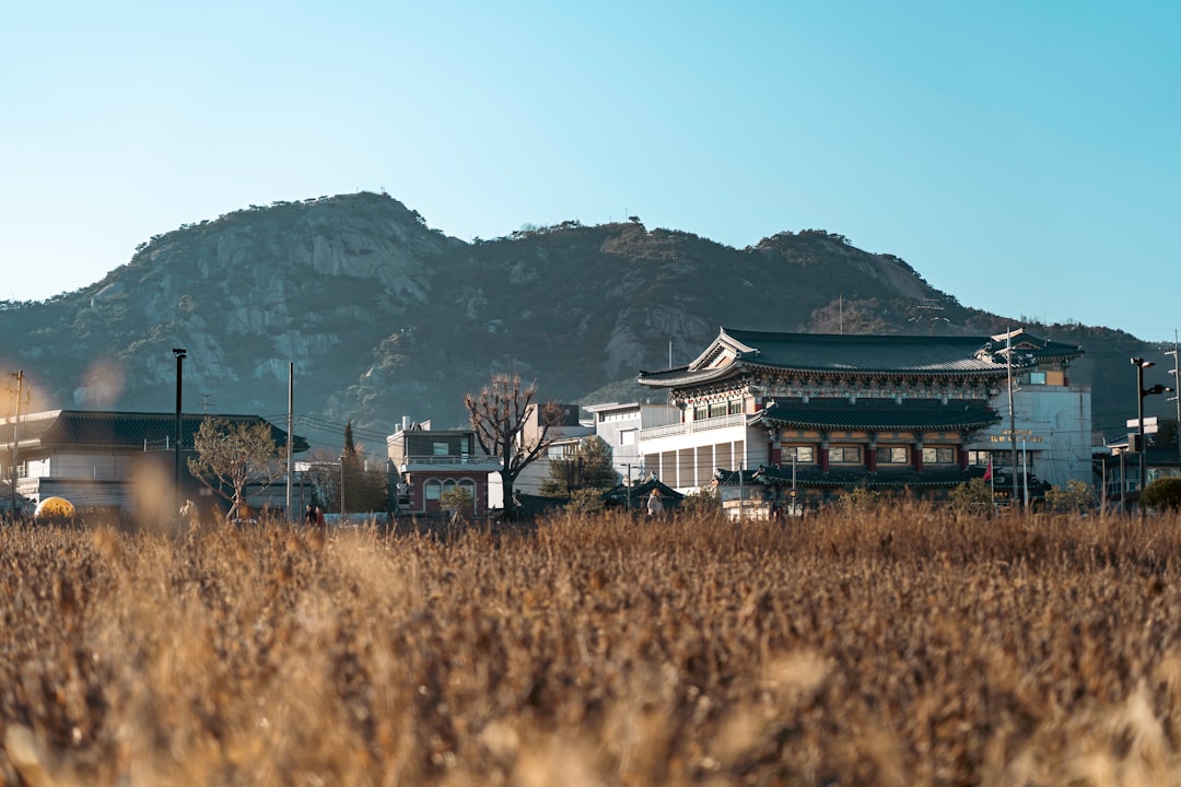 Descubra a Daegwallyeong Sheep Farm em Pyeongchang - Pyeongchang-gun | Secret World Trip Planner