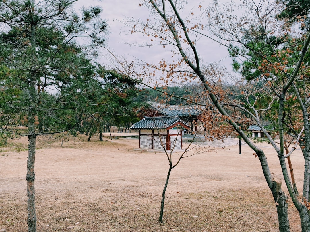 Chungju Lake: A Natural Gem in South Korea - Chungju-si | Secret World Trip Planner