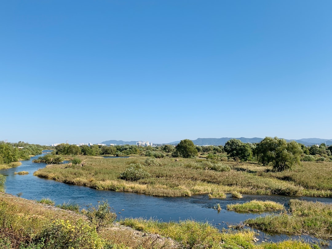 大邱の自然の宝、パルゴンサン自然公園を発見しよう - Dong-gu | Secret World Trip Planner