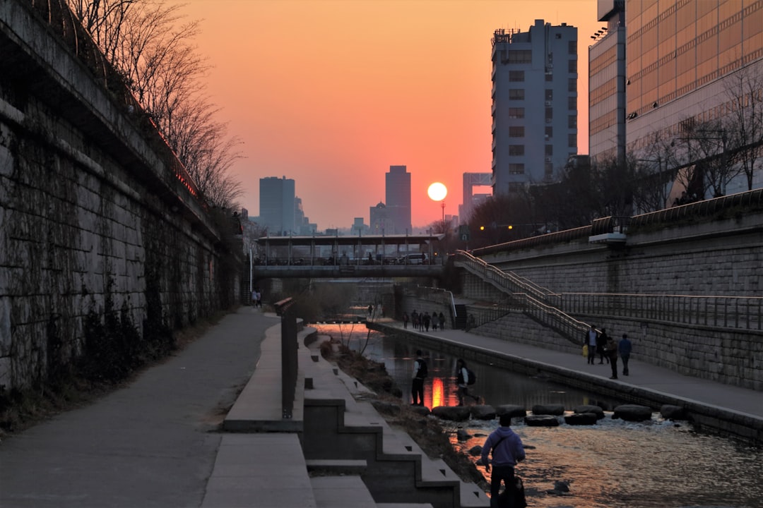 Entdecken Sie Cheonggyecheon: das natürliche Juwel von Seoul - Jongno District | Secret World Trip Planner