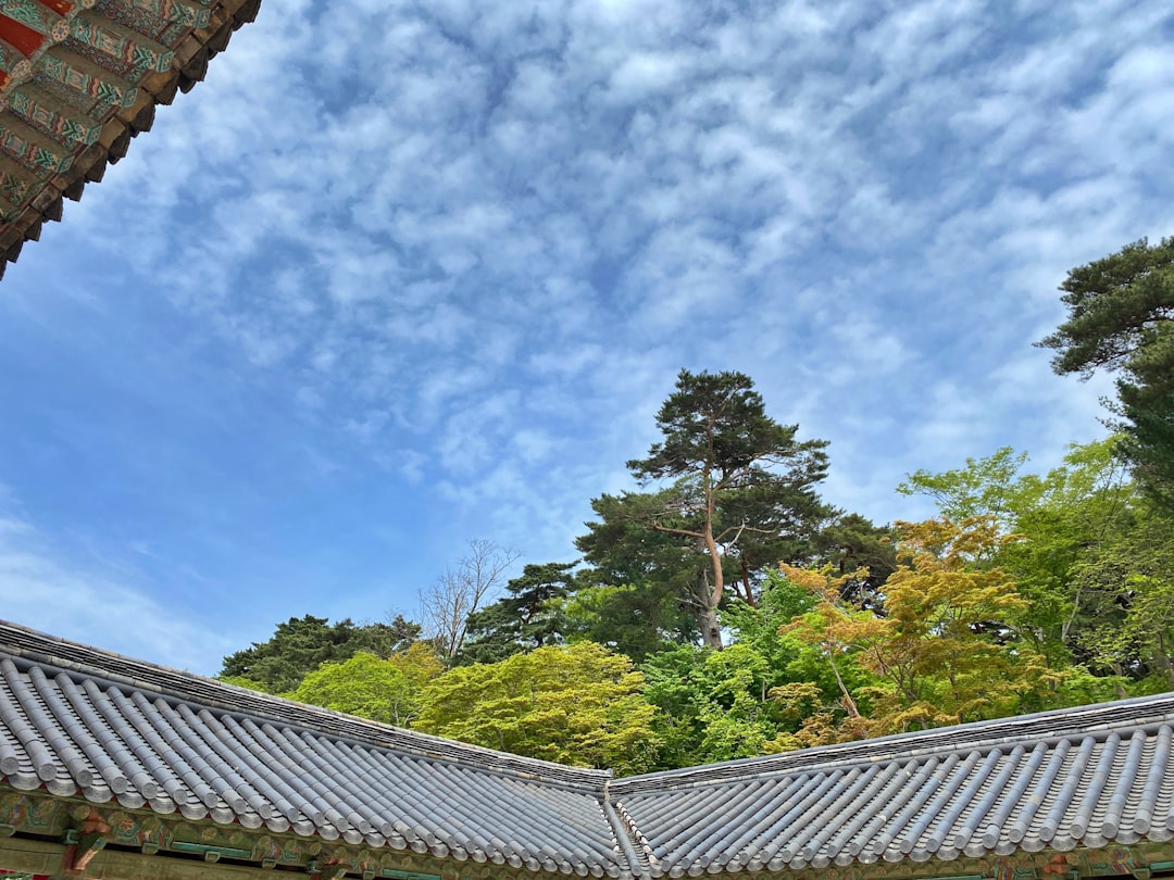 Гёнджу: Путешествие в Историю Кореи - Gyeongju | Secret World Trip Planner