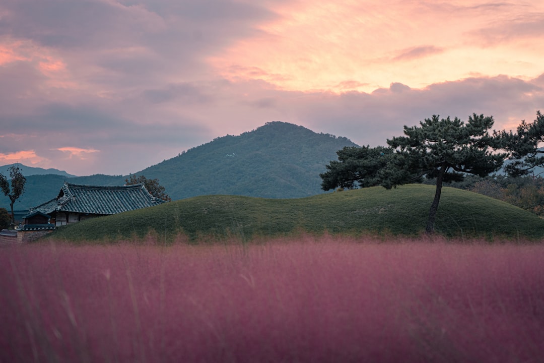 探索庆州的古墓公园:韩国历史之旅 - Gyeongju | Secret World Trip Planner