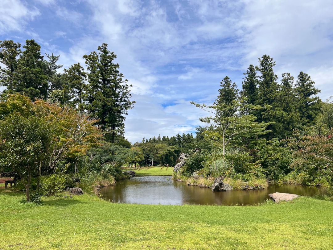 Jeju Island: Un Paradiso Naturale da Scoprire - Cheju | Secret World Trip Planner