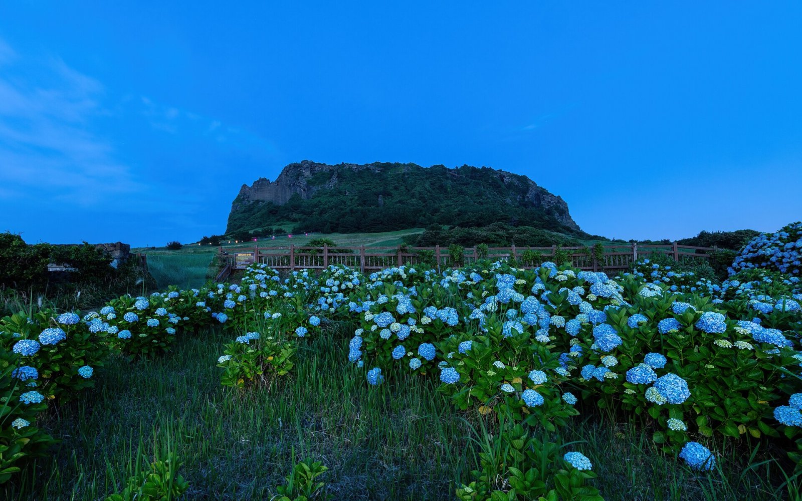 Descubra Seongsan Ilchulbong: uma joia natural de Jeju - Seogwipo | Secret World Trip Planner