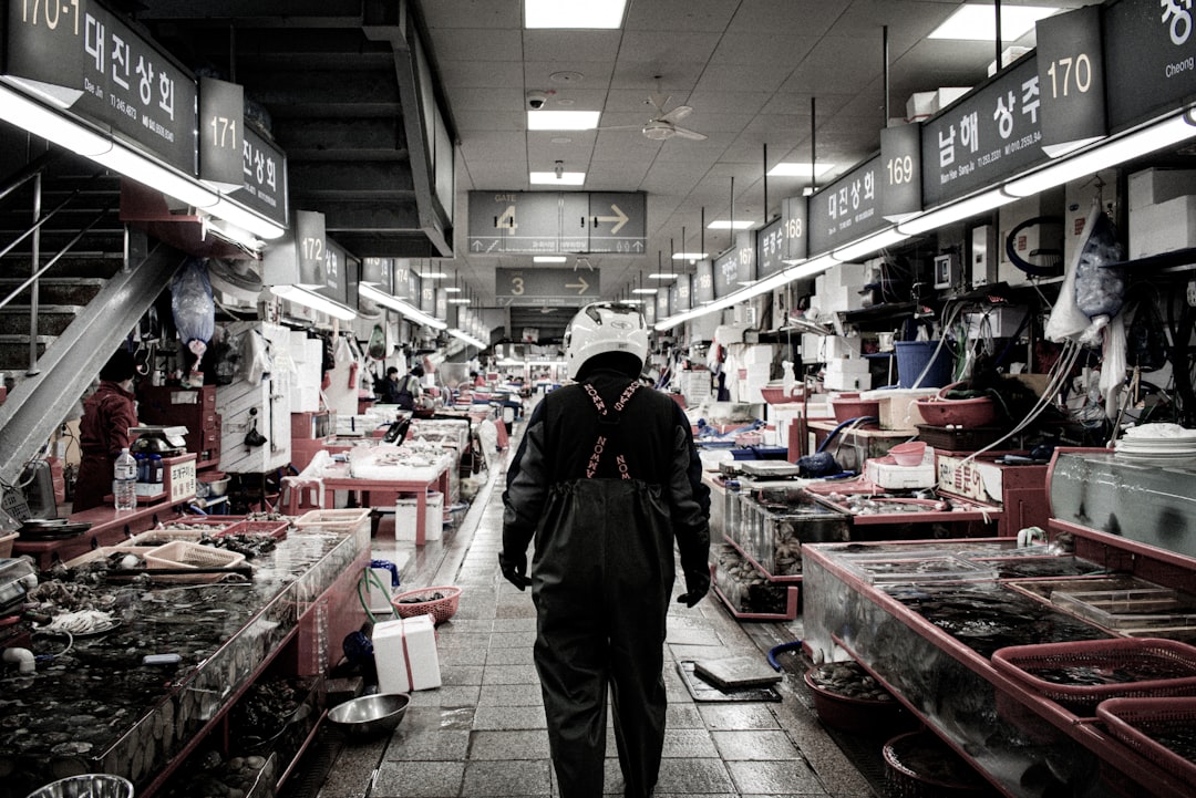 Entdecken Sie den Jagalchi Fischmarkt in Busan: Ein einzigartiges Erlebnis - Jung-gu | Secret World Trip Planner