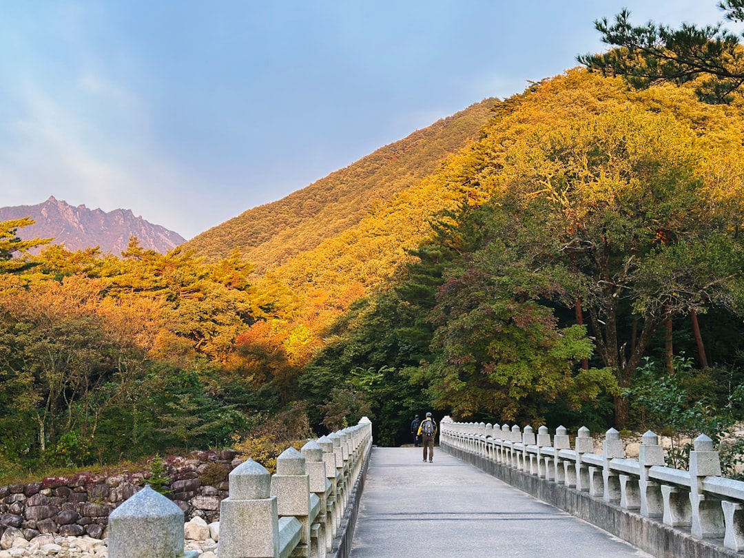 Seoraksan National Park: un paradiso naturale in Corea del Sud - 강원 속초시 설악동 | Secret World Trip Planner