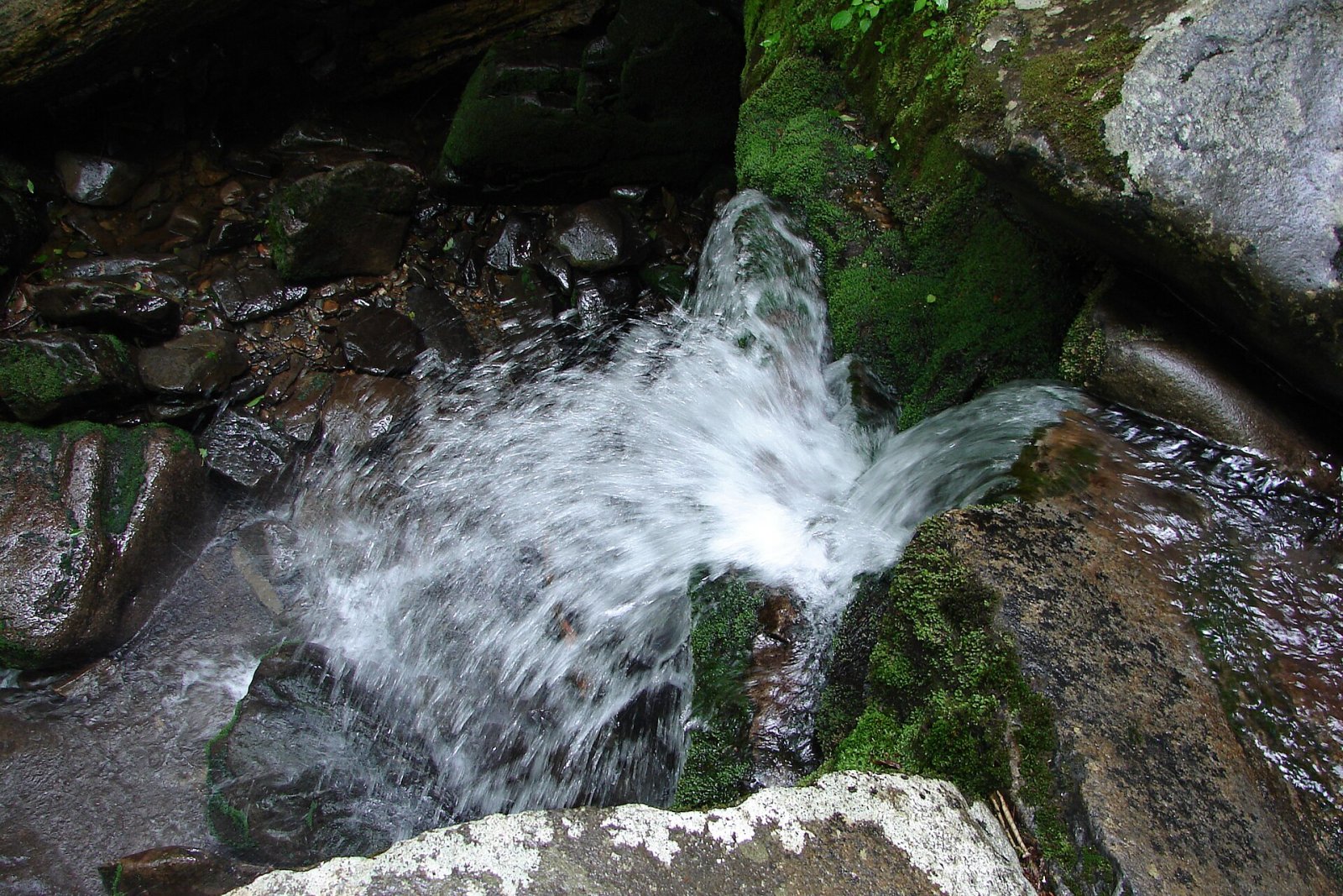 Entdecken Sie die Magie des Great Smoky Mountains Nationalparks | Secret World Trip Planner