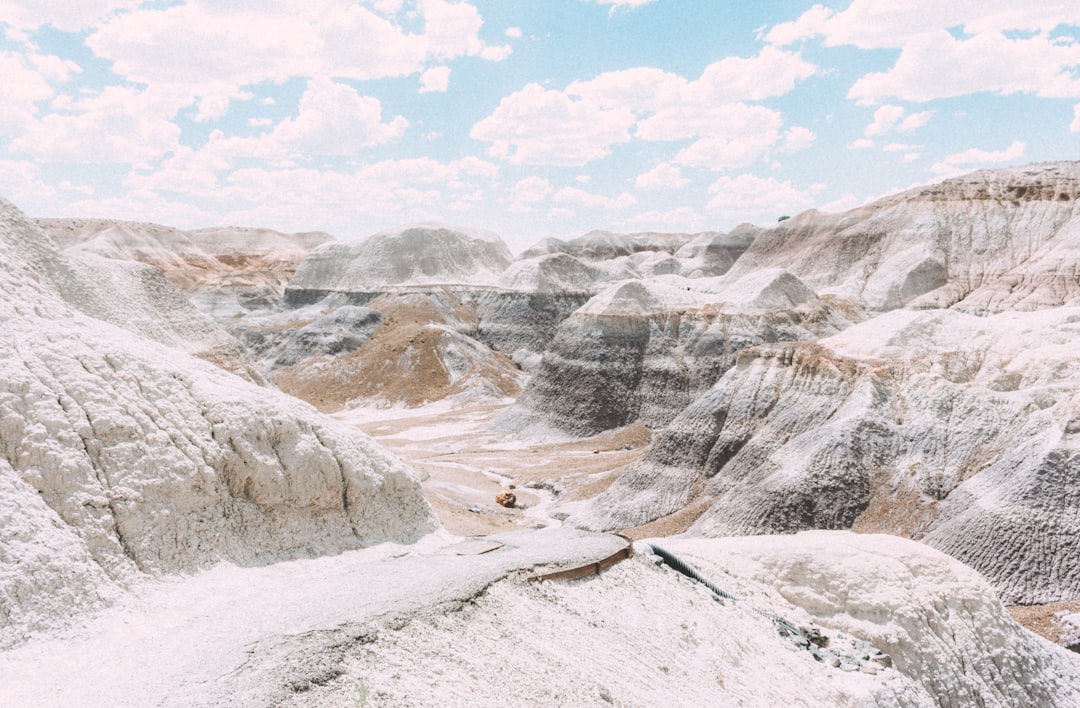 Discover the Petrified Forest National Park in Arizona - Weinan | Secret World Trip Planner
