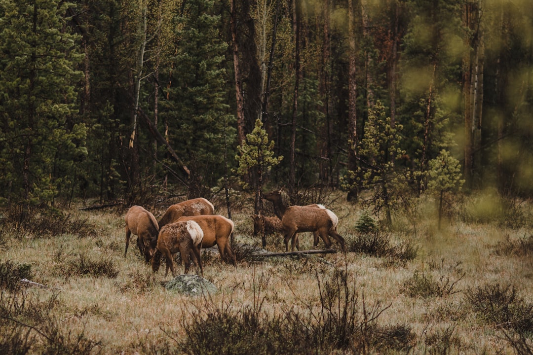 Entdecken Sie den Grand Teton Nationalpark: ein Naturjuwel | Secret World Trip Planner