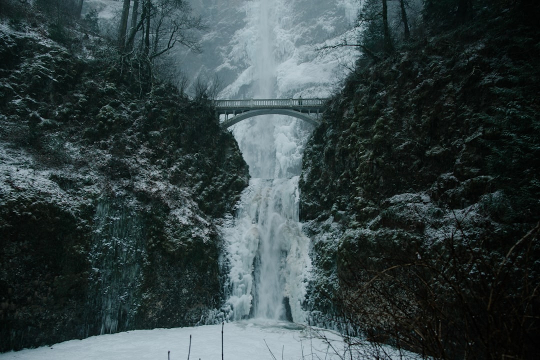 Descubra a Columbia River Gorge: Natureza e Aventura em Hood River - Hinggan League | Secret World Trip Planner