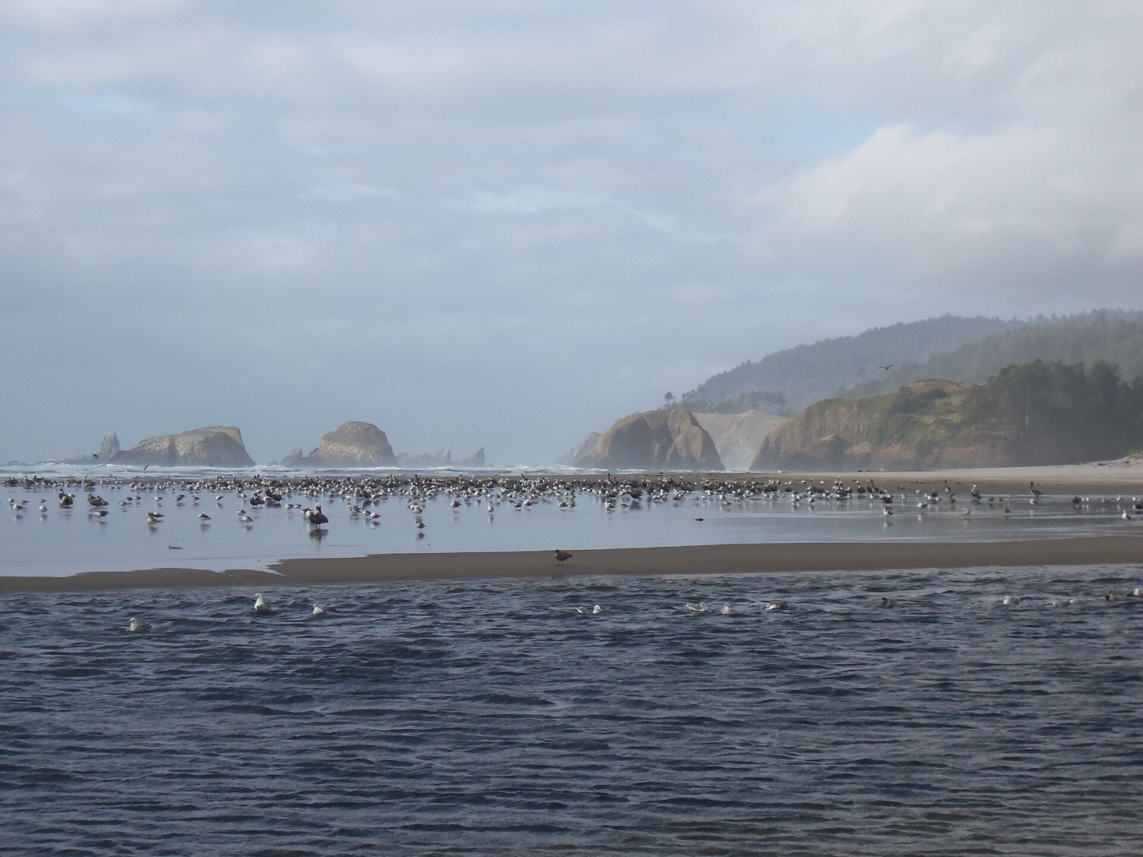 Cannon Beach: Ein Paradies in der Natur von Oregon | Secret World Trip Planner