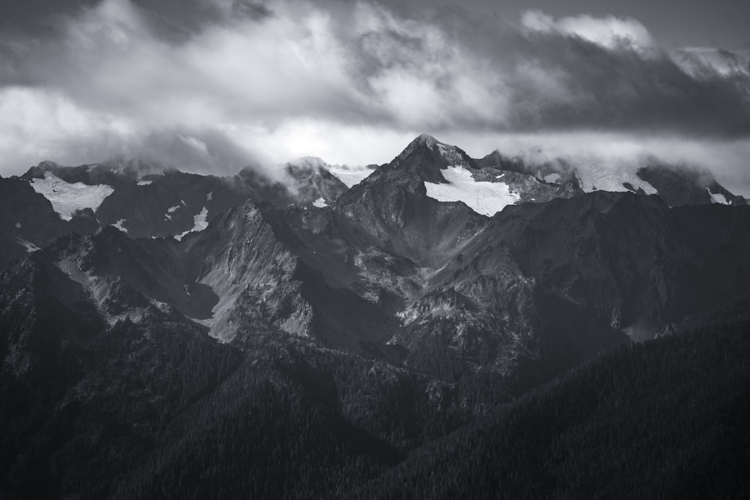 Scopri l'Olympic National Park: un paradiso naturale in Washington - Qiqihar | Secret World Trip Planner