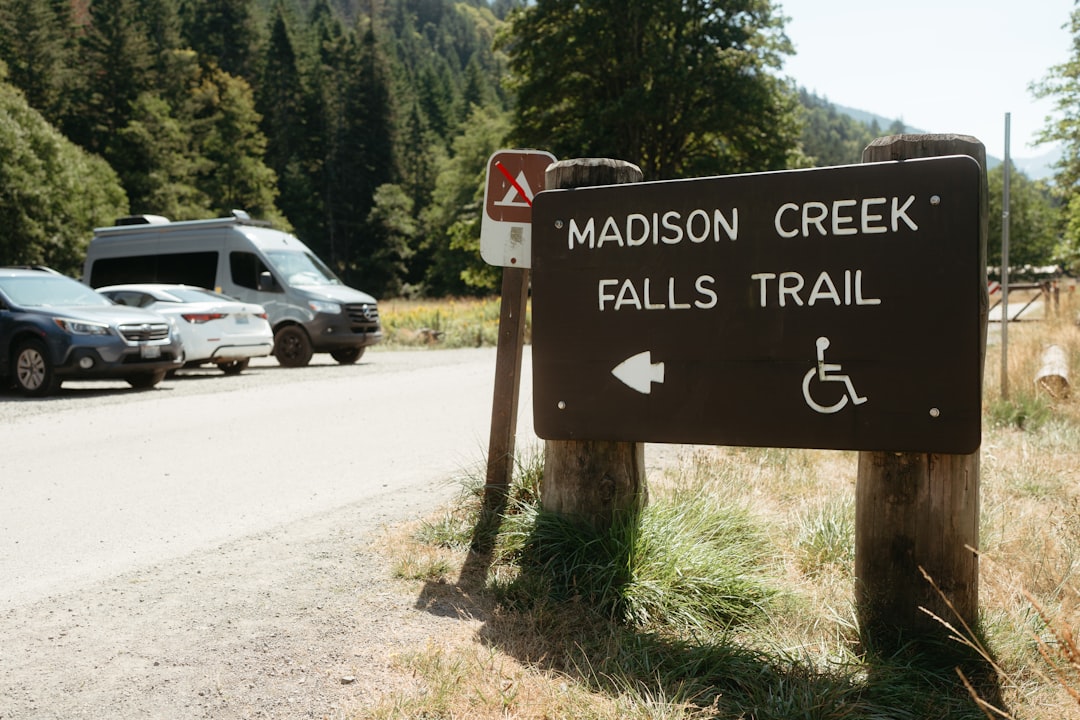 Scopri la Magia della Foresta Pluviale di Hoh a Forks, Washington | Secret World Trip Planner
