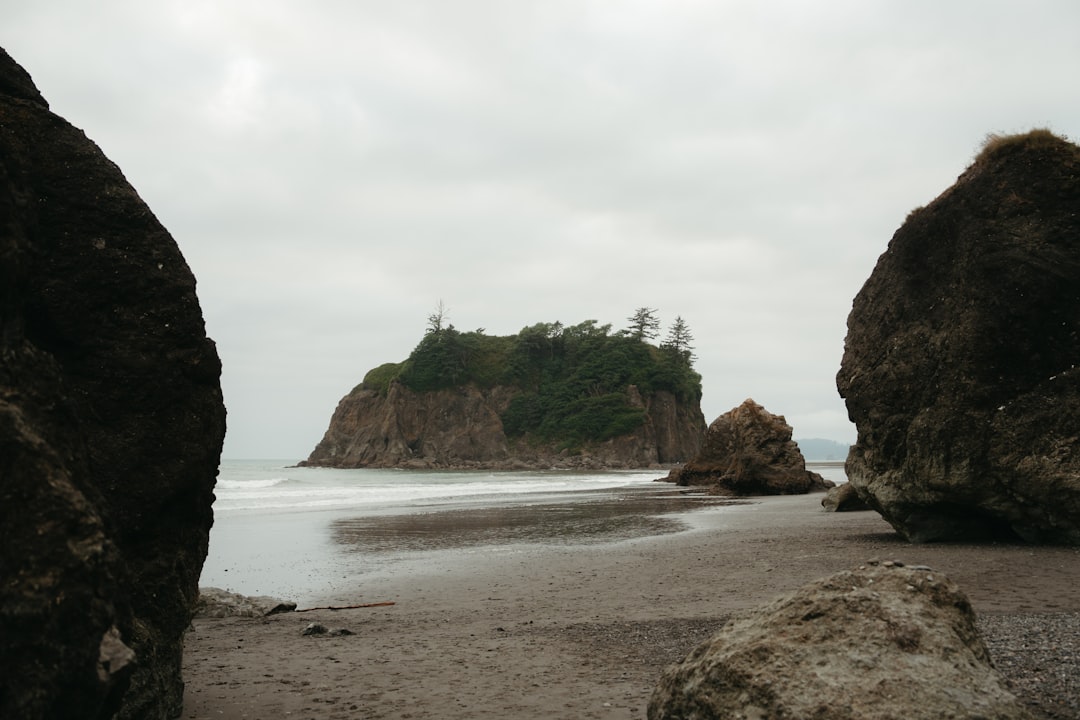 Descubra o Olympic National Park: um paraíso natural em Washington - Qiqihar | Secret World Trip Planner