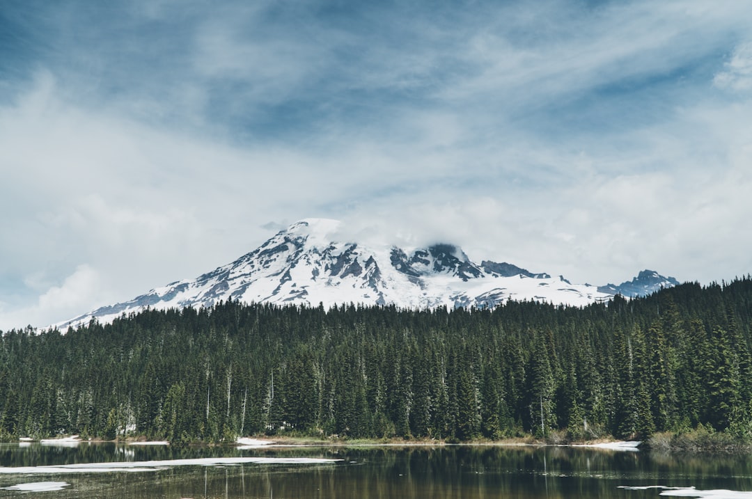 Entdecken Sie die atemberaubende Schönheit des Mount Rainier Nationalparks
