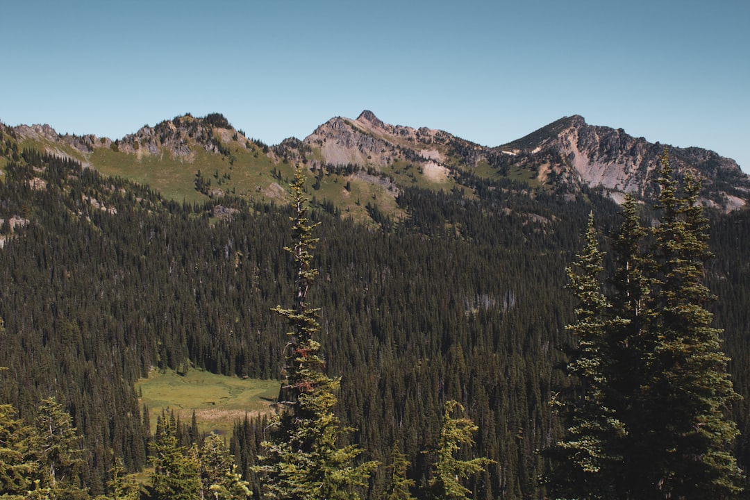 Descubre la impresionante belleza del Parque Nacional Mount Rainier | Secret World Trip Planner