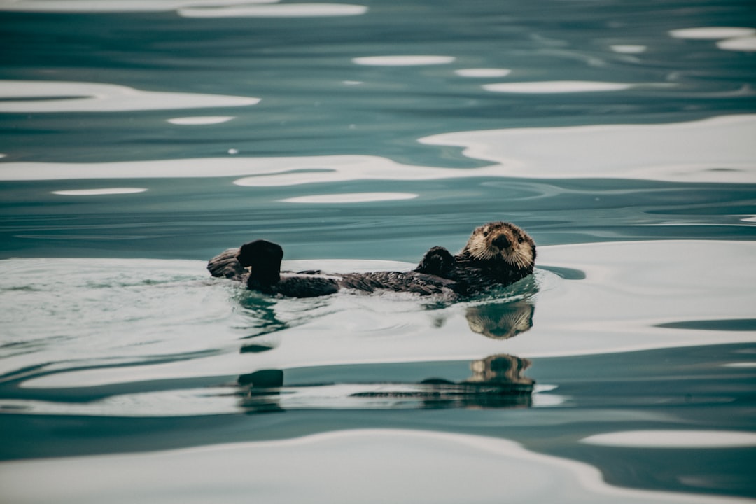 Kenai Fjords National Park: a natural gem in Alaska | Secret World Trip Planner