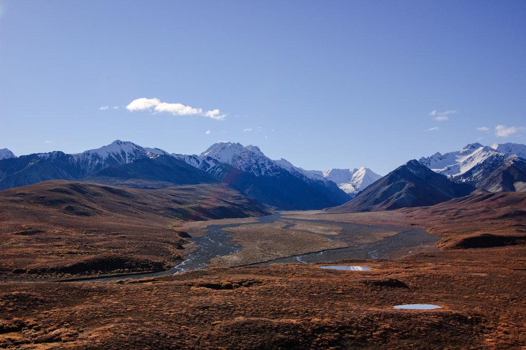 Esplora la bellezza selvaggia del Denali National Park | Secret World Trip Planner