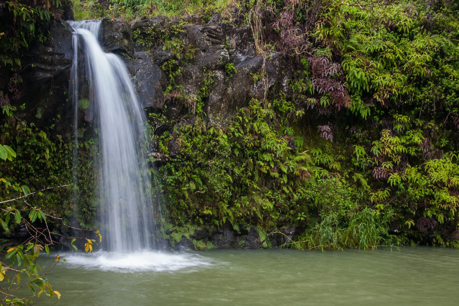 Descubra a Magia da Road to Hana: Experiência Inesquecível no Havai | Secret World Trip Planner