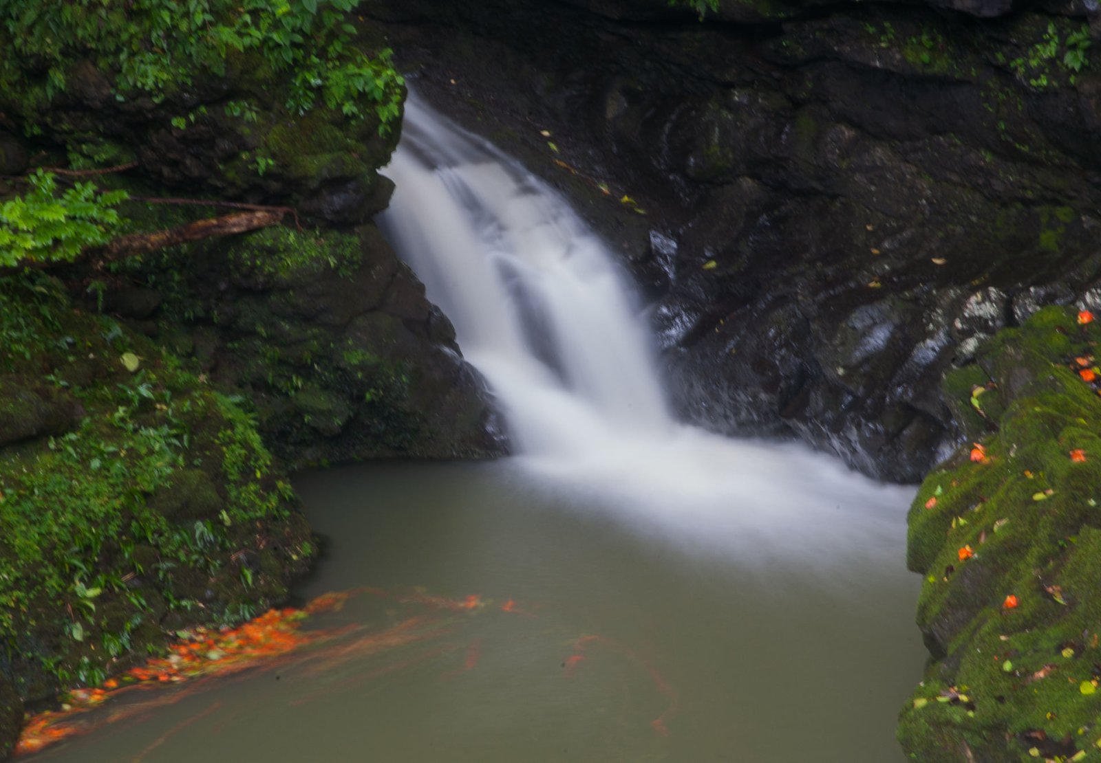 Descubra a Magia da Road to Hana: Experiência Inesquecível no Havai | Secret World Trip Planner