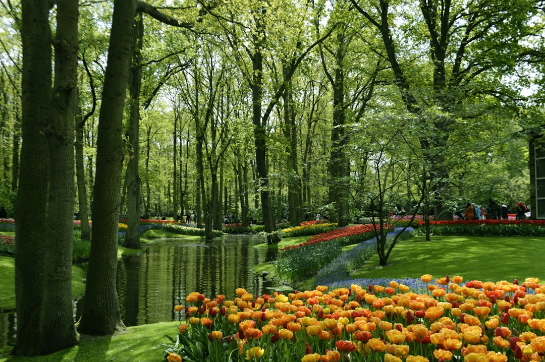 キューケンホフ：世界最大の花の庭 - Stationsweg 166A | Secret World Trip Planner