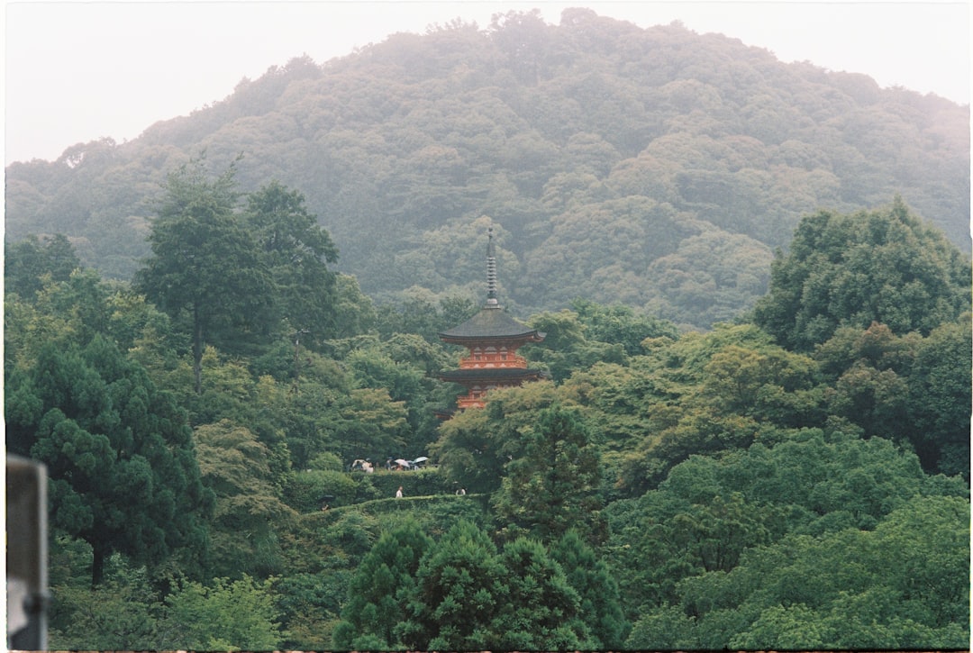 Карэсансуи: Магия дзен-садов Киото - Kyoto | Secret World Trip Planner
