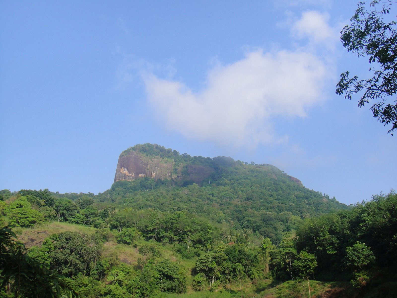 Découvrez Bible Rock : la montagne qui raconte des histoires au Sri Lanka — Ussapitiya