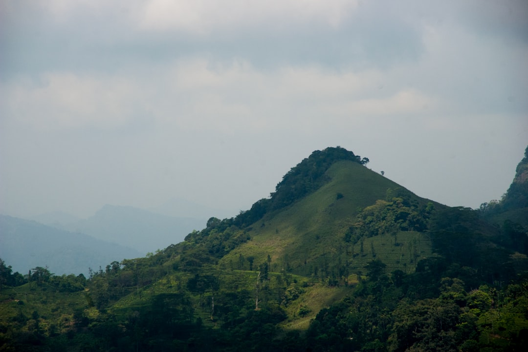 Single Tree Hill: Ein Naturjuwel in Sri Lanka - Nuwara Eliya | Secret World Trip Planner