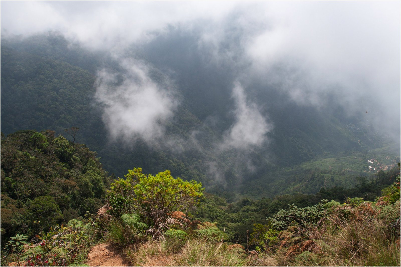 Mini World's End: Ein Paradies im Herzen von Sri Lanka - Metigahatenna | Secret World Trip Planner
