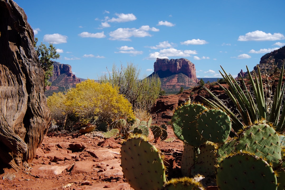 Discover the Magic of Sedona Red Rocks in Arizona - Sanmenxia | Secret World Trip Planner