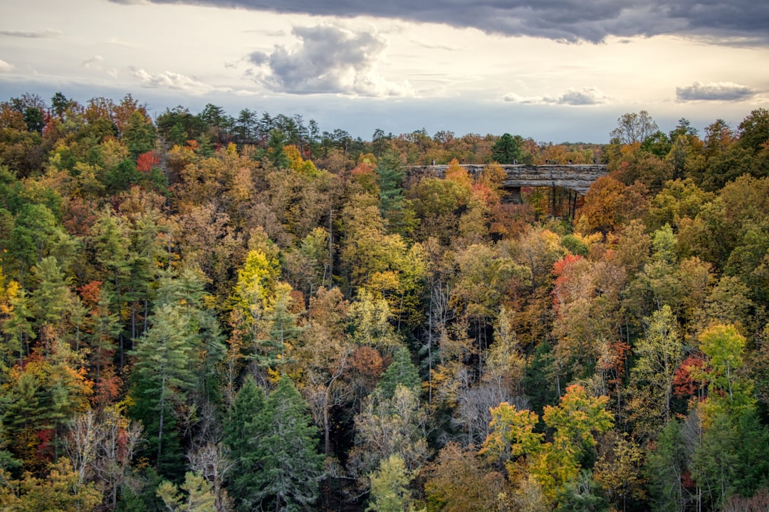 Descubra o Red River Gorge: um canto da natureza no Kentucky | Secret World Trip Planner
